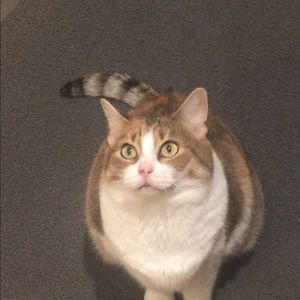 Meet your Posher, Lisa